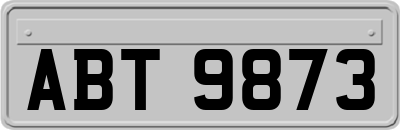 ABT9873