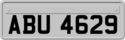 ABU4629