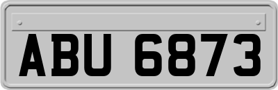 ABU6873