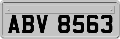 ABV8563