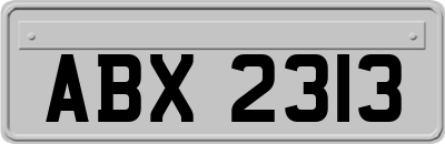 ABX2313