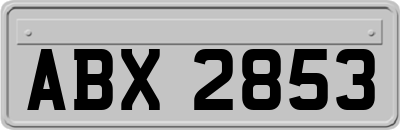 ABX2853