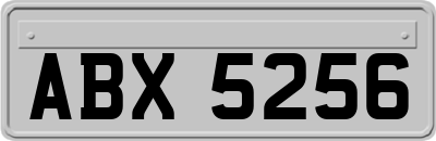 ABX5256