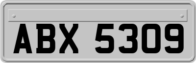 ABX5309