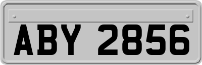 ABY2856