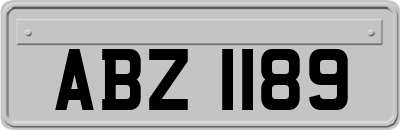 ABZ1189