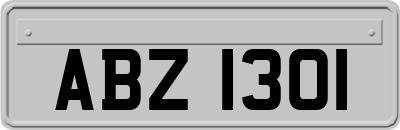 ABZ1301
