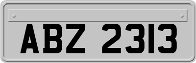 ABZ2313