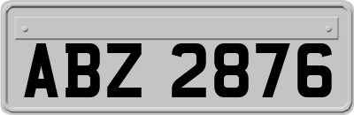 ABZ2876