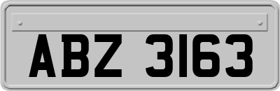 ABZ3163