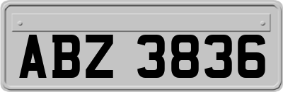 ABZ3836