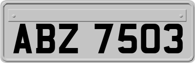 ABZ7503