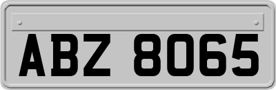 ABZ8065