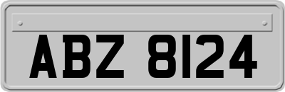 ABZ8124