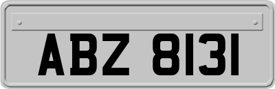 ABZ8131