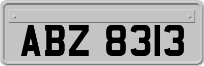 ABZ8313
