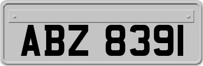 ABZ8391