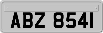 ABZ8541