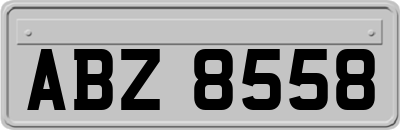 ABZ8558