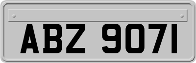 ABZ9071