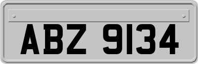 ABZ9134
