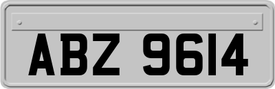 ABZ9614