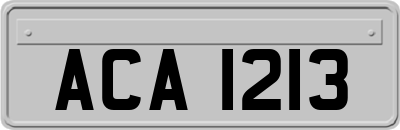 ACA1213