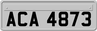 ACA4873