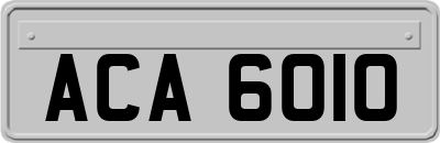 ACA6010