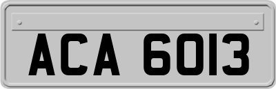 ACA6013