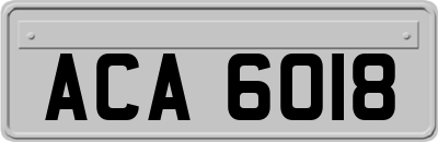 ACA6018