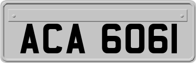 ACA6061