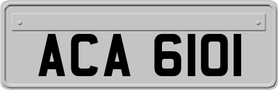 ACA6101