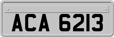 ACA6213
