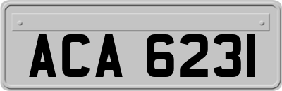 ACA6231