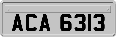 ACA6313