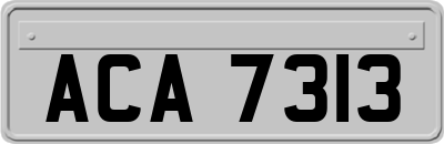 ACA7313