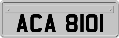 ACA8101