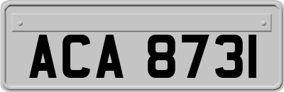 ACA8731