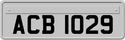 ACB1029