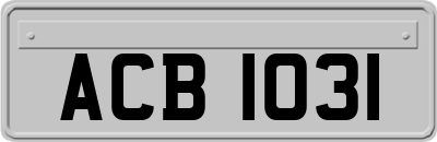 ACB1031