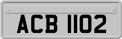 ACB1102