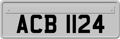 ACB1124