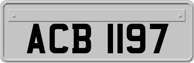 ACB1197