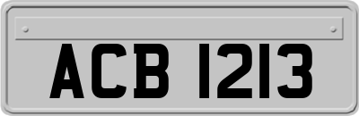 ACB1213