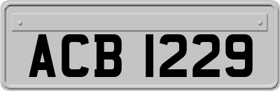 ACB1229