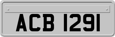 ACB1291