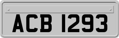 ACB1293
