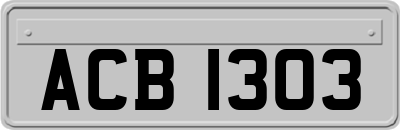 ACB1303