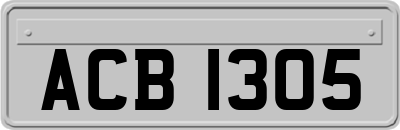ACB1305